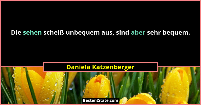 Die sehen scheiß unbequem aus, sind aber sehr bequem.... - Daniela Katzenberger