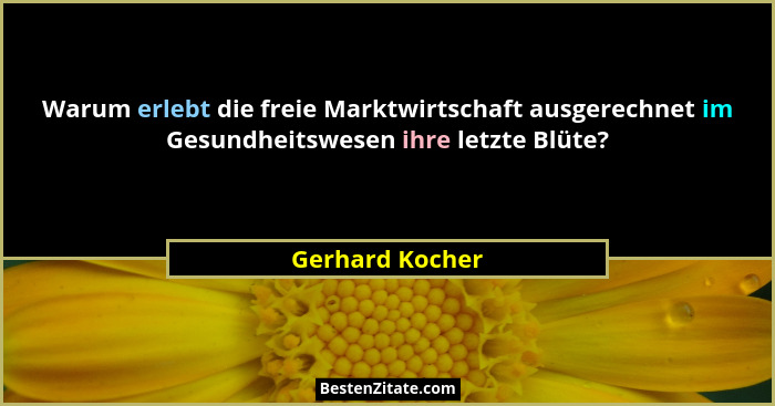 Warum erlebt die freie Marktwirtschaft ausgerechnet im Gesundheitswesen ihre letzte Blüte?... - Gerhard Kocher