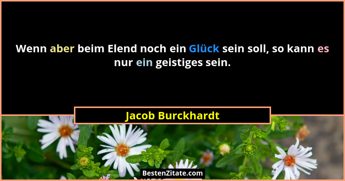 Wenn aber beim Elend noch ein Glück sein soll, so kann es nur ein geistiges sein.... - Jacob Burckhardt