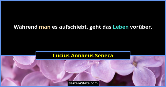 Während man es aufschiebt, geht das Leben vorüber.... - Lucius Annaeus Seneca