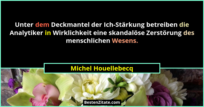Unter dem Deckmantel der Ich-Stärkung betreiben die Analytiker in Wirklichkeit eine skandalöse Zerstörung des menschlichen Wesens... - Michel Houellebecq