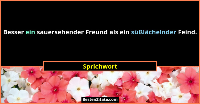 Besser ein sauersehender Freund als ein süßlächelnder Feind.... - Sprichwort