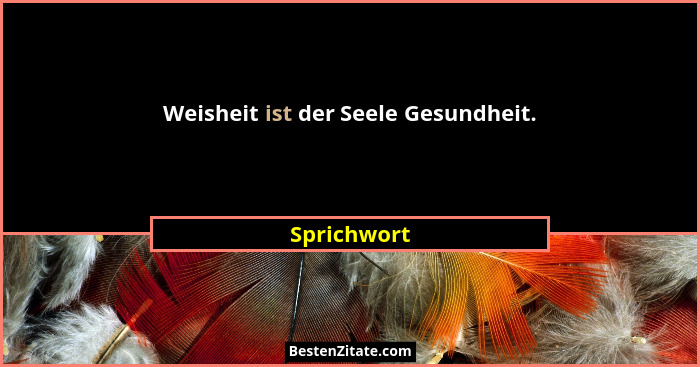 Weisheit ist der Seele Gesundheit.... - Sprichwort
