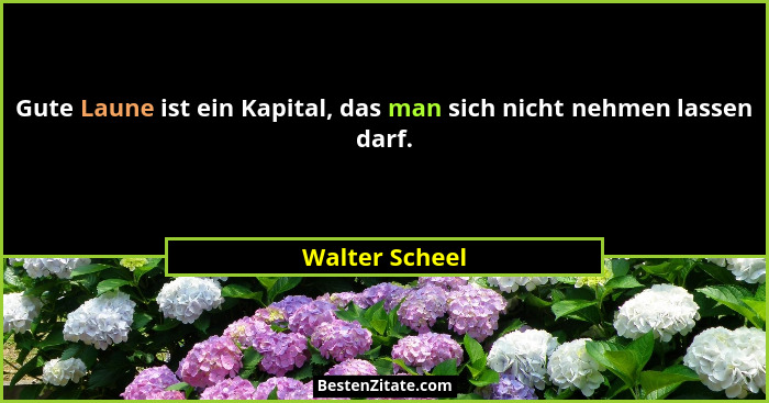 Gute Laune ist ein Kapital, das man sich nicht nehmen lassen darf.... - Walter Scheel