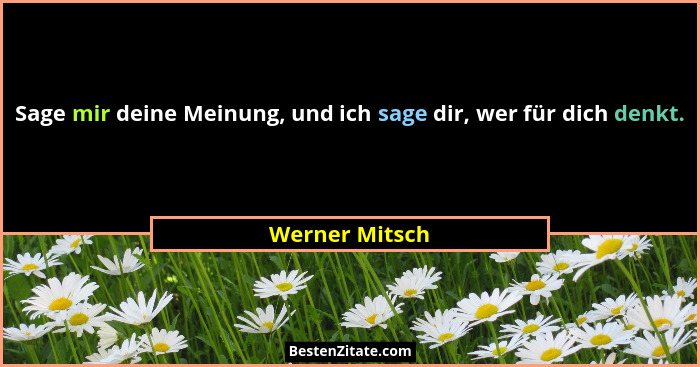 Sage mir deine Meinung, und ich sage dir, wer für dich denkt.... - Werner Mitsch