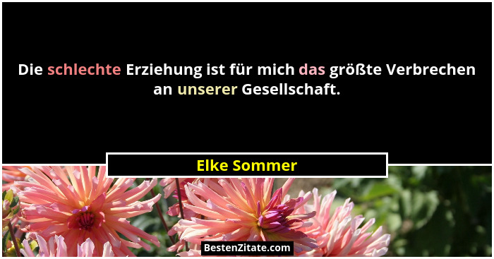 Die schlechte Erziehung ist für mich das größte Verbrechen an unserer Gesellschaft.... - Elke Sommer