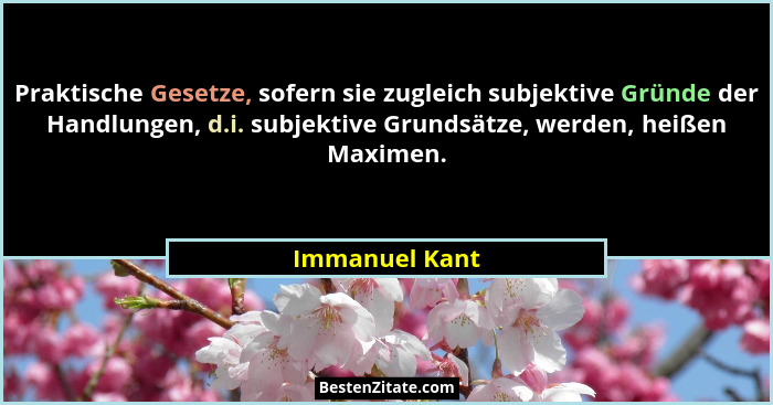 Praktische Gesetze, sofern sie zugleich subjektive Gründe der Handlungen, d.i. subjektive Grundsätze, werden, heißen Maximen.... - Immanuel Kant