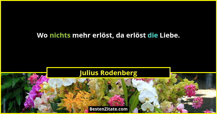 Wo nichts mehr erlöst, da erlöst die Liebe.... - Julius Rodenberg
