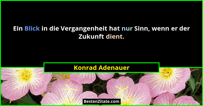 Ein Blick in die Vergangenheit hat nur Sinn, wenn er der Zukunft dient.... - Konrad Adenauer