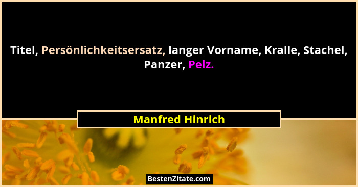 Titel, Persönlichkeitsersatz, langer Vorname, Kralle, Stachel, Panzer, Pelz.... - Manfred Hinrich