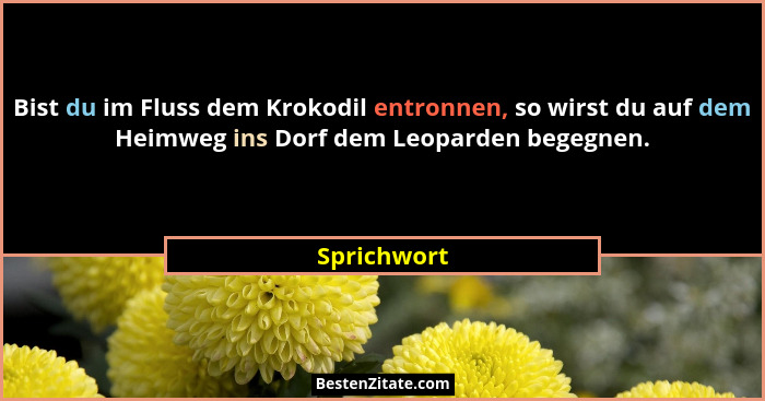 Bist du im Fluss dem Krokodil entronnen, so wirst du auf dem Heimweg ins Dorf dem Leoparden begegnen.... - Sprichwort