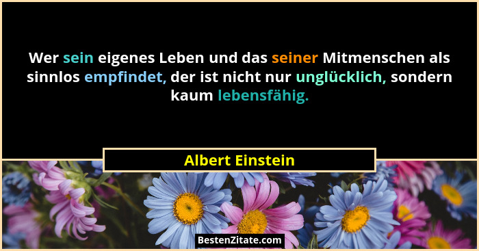 Wer sein eigenes Leben und das seiner Mitmenschen als sinnlos empfindet, der ist nicht nur unglücklich, sondern kaum lebensfähig.... - Albert Einstein