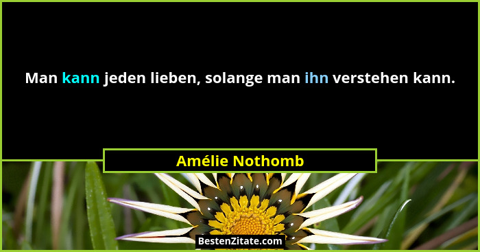 Man kann jeden lieben, solange man ihn verstehen kann.... - Amélie Nothomb