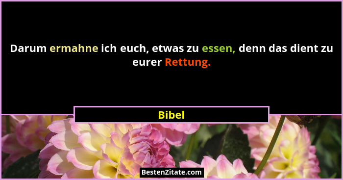 Darum ermahne ich euch, etwas zu essen, denn das dient zu eurer Rettung.... - Bibel
