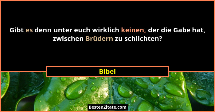 Gibt es denn unter euch wirklich keinen, der die Gabe hat, zwischen Brüdern zu schlichten?... - Bibel
