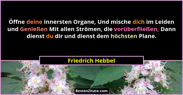 Öffne deine innersten Organe, Und mische dich im Leiden und Genießen Mit allen Strömen, die vorüberfließen, Dann dienst du dir und... - Friedrich Hebbel