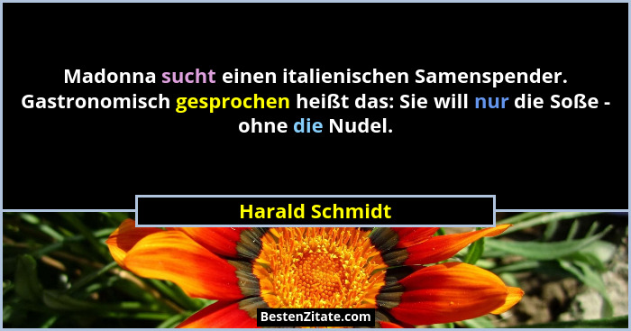 Madonna sucht einen italienischen Samenspender. Gastronomisch gesprochen heißt das: Sie will nur die Soße - ohne die Nudel.... - Harald Schmidt