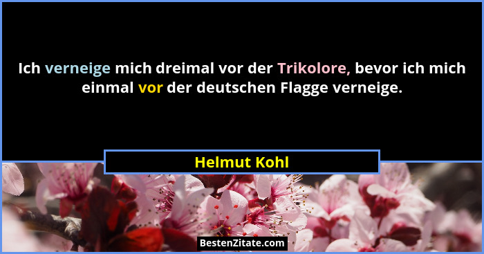 Ich verneige mich dreimal vor der Trikolore, bevor ich mich einmal vor der deutschen Flagge verneige.... - Helmut Kohl