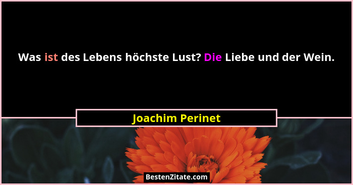 Was ist des Lebens höchste Lust? Die Liebe und der Wein.... - Joachim Perinet
