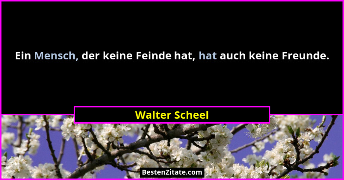 Ein Mensch, der keine Feinde hat, hat auch keine Freunde.... - Walter Scheel