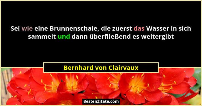Sei wie eine Brunnenschale, die zuerst das Wasser in sich sammelt und dann überfließend es weitergibt... - Bernhard von Clairvaux