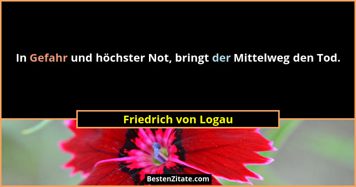 In Gefahr und höchster Not, bringt der Mittelweg den Tod.... - Friedrich von Logau