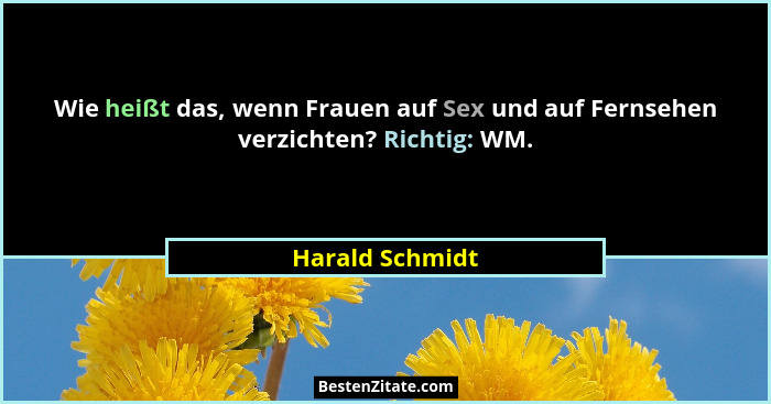 Wie heißt das, wenn Frauen auf Sex und auf Fernsehen verzichten? Richtig: WM.... - Harald Schmidt