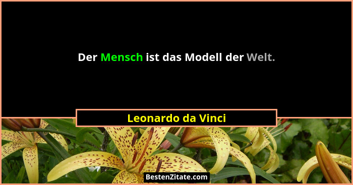 Der Mensch ist das Modell der Welt.... - Leonardo da Vinci