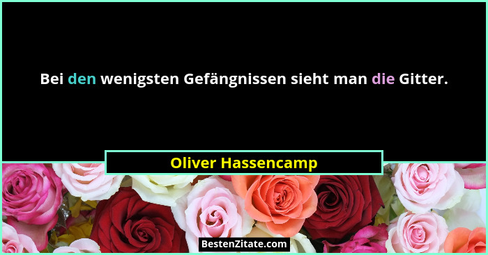 Bei den wenigsten Gefängnissen sieht man die Gitter.... - Oliver Hassencamp