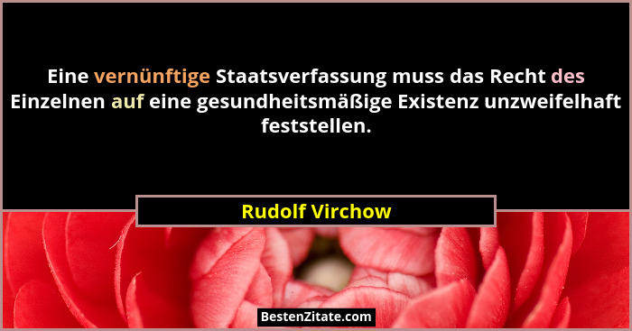 Eine vernünftige Staatsverfassung muss das Recht des Einzelnen auf eine gesundheitsmäßige Existenz unzweifelhaft feststellen.... - Rudolf Virchow