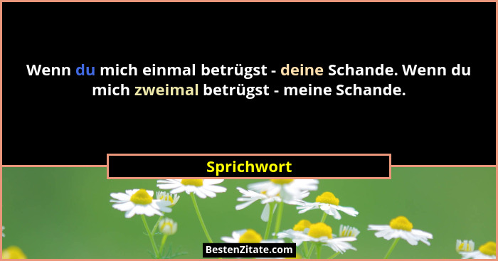 Wenn du mich einmal betrügst - deine Schande. Wenn du mich zweimal betrügst - meine Schande.... - Sprichwort