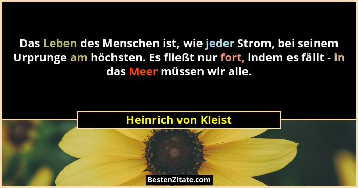 Das Leben des Menschen ist, wie jeder Strom, bei seinem Urprunge am höchsten. Es fließt nur fort, indem es fällt - in das Meer m... - Heinrich von Kleist