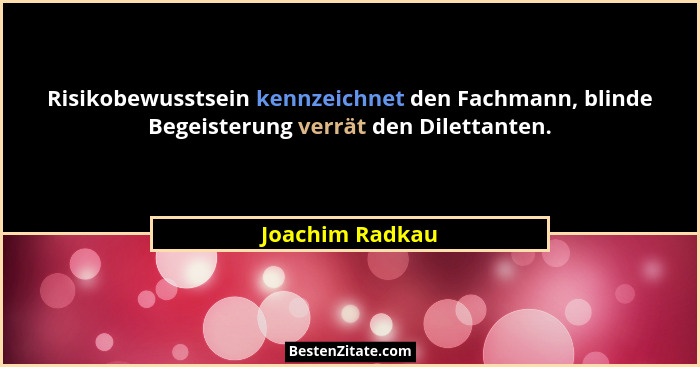 Risikobewusstsein kennzeichnet den Fachmann, blinde Begeisterung verrät den Dilettanten.... - Joachim Radkau