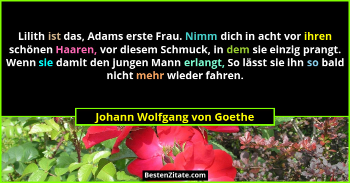 Lilith ist das, Adams erste Frau. Nimm dich in acht vor ihren schönen Haaren, vor diesem Schmuck, in dem sie einzig prang... - Johann Wolfgang von Goethe