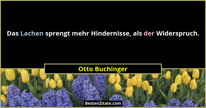 Das Lachen sprengt mehr Hindernisse, als der Widerspruch.... - Otto Buchinger