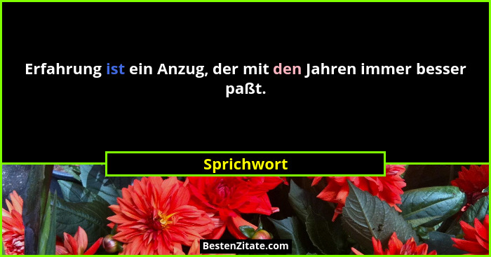 Erfahrung ist ein Anzug, der mit den Jahren immer besser paßt.... - Sprichwort