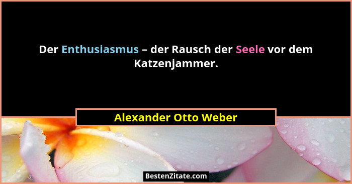 Der Enthusiasmus – der Rausch der Seele vor dem Katzenjammer.... - Alexander Otto Weber