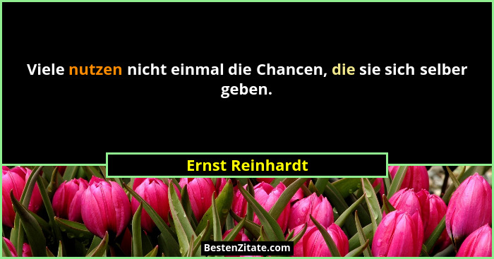 Viele nutzen nicht einmal die Chancen, die sie sich selber geben.... - Ernst Reinhardt