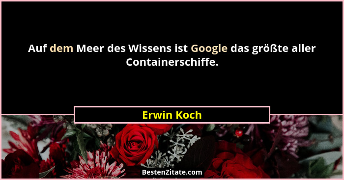 Auf dem Meer des Wissens ist Google das größte aller Containerschiffe.... - Erwin Koch