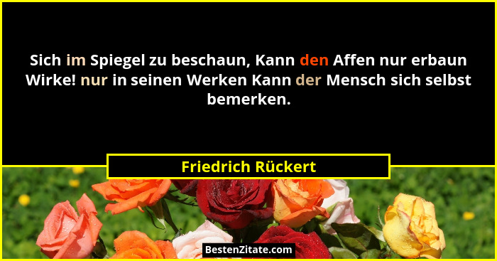 Sich im Spiegel zu beschaun, Kann den Affen nur erbaun Wirke! nur in seinen Werken Kann der Mensch sich selbst bemerken.... - Friedrich Rückert
