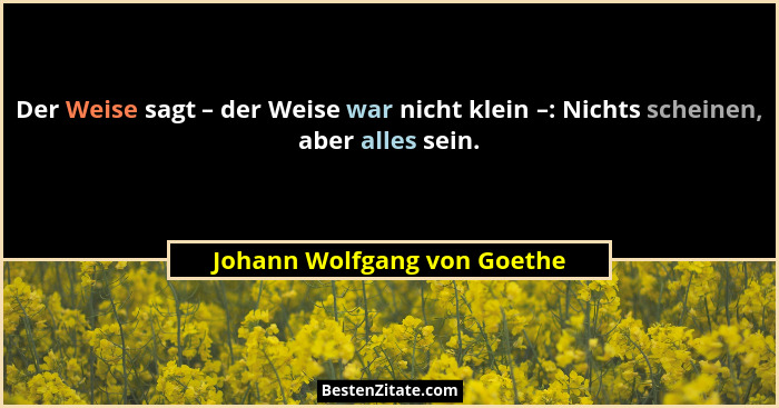 Der Weise sagt – der Weise war nicht klein –: Nichts scheinen, aber alles sein.... - Johann Wolfgang von Goethe