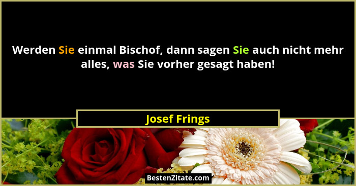 Werden Sie einmal Bischof, dann sagen Sie auch nicht mehr alles, was Sie vorher gesagt haben!... - Josef Frings