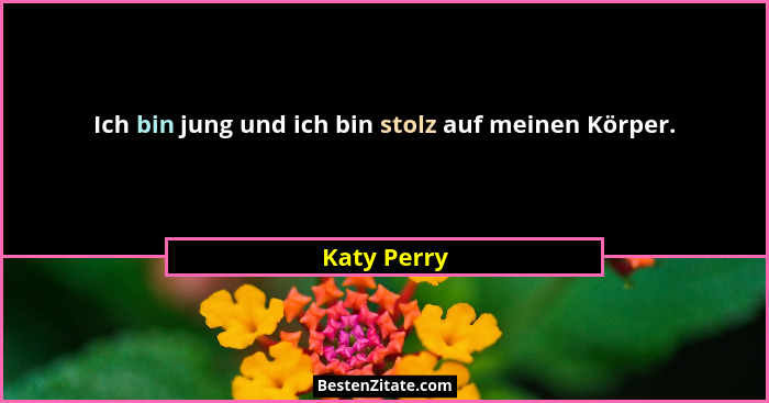 Ich bin jung und ich bin stolz auf meinen Körper.... - Katy Perry