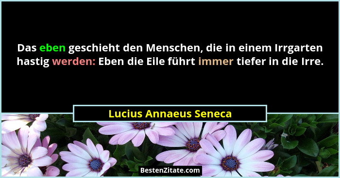 Das eben geschieht den Menschen, die in einem Irrgarten hastig werden: Eben die Eile führt immer tiefer in die Irre.... - Lucius Annaeus Seneca