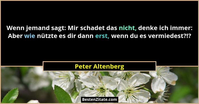 Wenn jemand sagt: Mir schadet das nicht, denke ich immer: Aber wie nützte es dir dann erst, wenn du es vermiedest?!?... - Peter Altenberg
