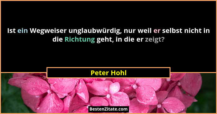 Ist ein Wegweiser unglaubwürdig, nur weil er selbst nicht in die Richtung geht, in die er zeigt?... - Peter Hohl