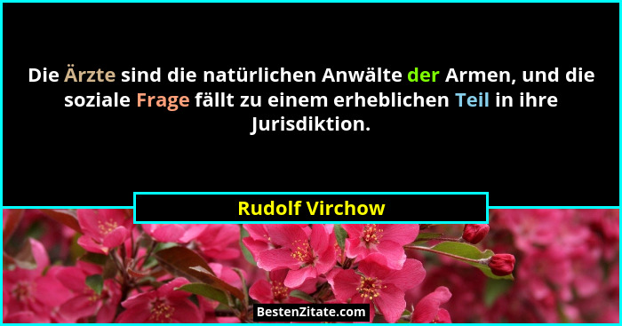 Die Ärzte sind die natürlichen Anwälte der Armen, und die soziale Frage fällt zu einem erheblichen Teil in ihre Jurisdiktion.... - Rudolf Virchow