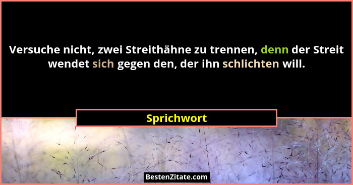 Versuche nicht, zwei Streithähne zu trennen, denn der Streit wendet sich gegen den, der ihn schlichten will.... - Sprichwort