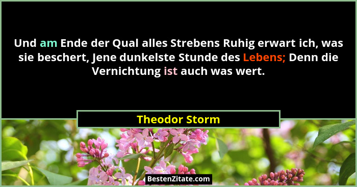Und am Ende der Qual alles Strebens Ruhig erwart ich, was sie beschert, Jene dunkelste Stunde des Lebens; Denn die Vernichtung ist auc... - Theodor Storm