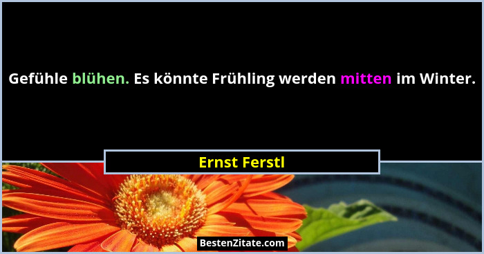 Gefühle blühen. Es könnte Frühling werden mitten im Winter.... - Ernst Ferstl